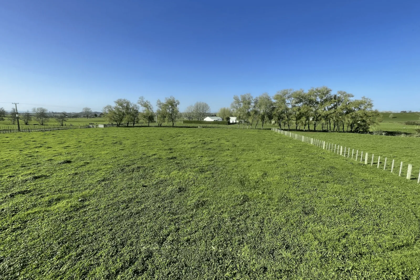 Image green sectioned paddock. 97 Corcoran Road, Te Pahu House & Land Package available with Waikato residential builders, Whitechurch Construction Limited. New Zealand