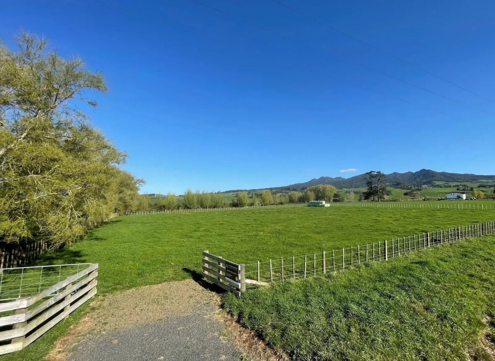 Image green sectioned paddock. 97 Corcoran Road, Te Pahu House & Land Package available with Waikato residential builders, Whitechurch Construction Limited. New Zealand